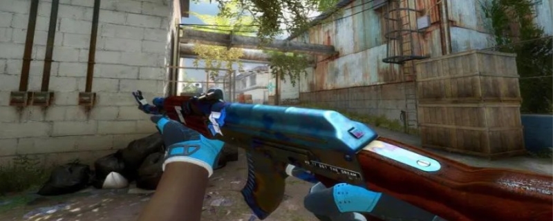 项复杂而细 项复杂而细