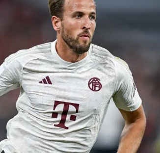 格林伍德马 格林伍德马