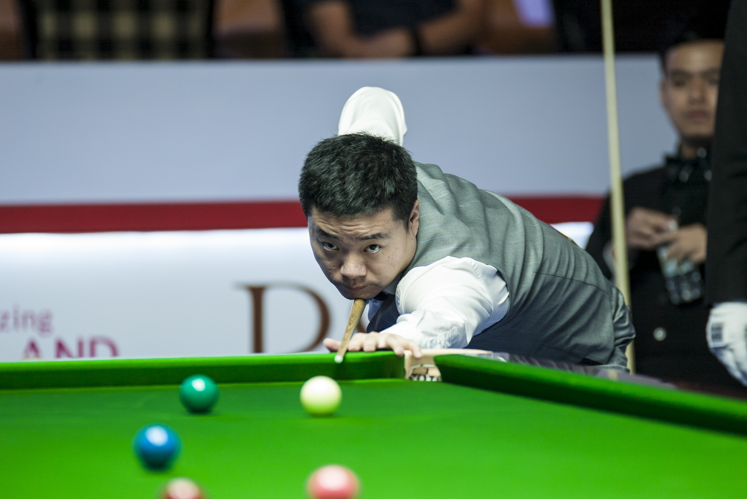 专业教练和 专业教练和