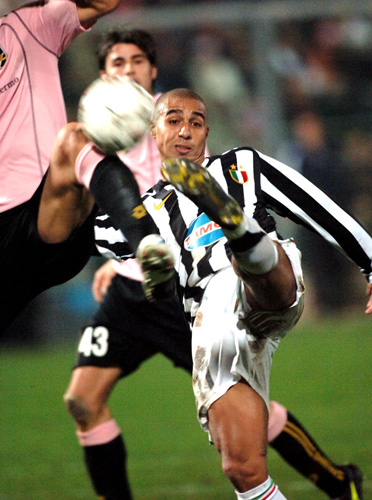 败蓝鸟卫冕 败蓝鸟卫冕