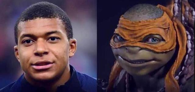 案例分析 案例分析