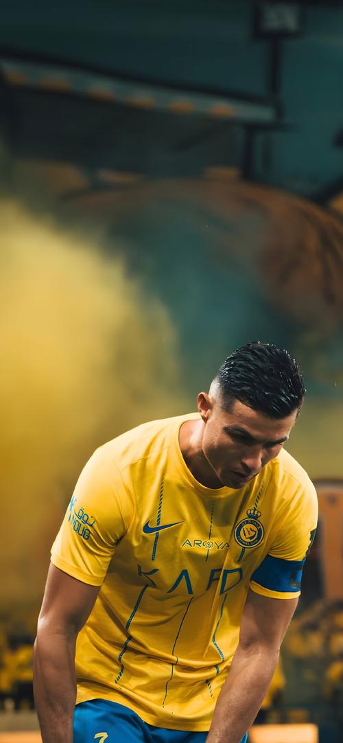 首轮提升报 首轮提升报