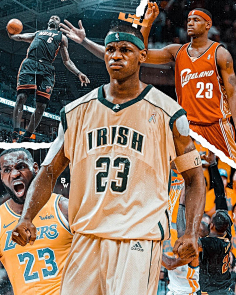 在于政策 在于政策